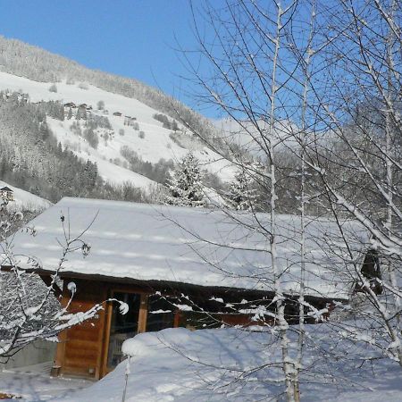 Petit Chalet Individuel De Caractere 梅杰夫 外观 照片