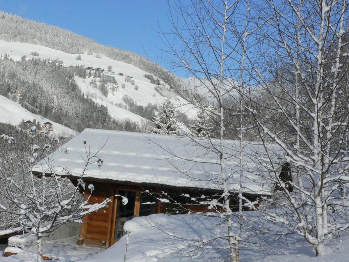 Petit Chalet Individuel De Caractere 梅杰夫 外观 照片
