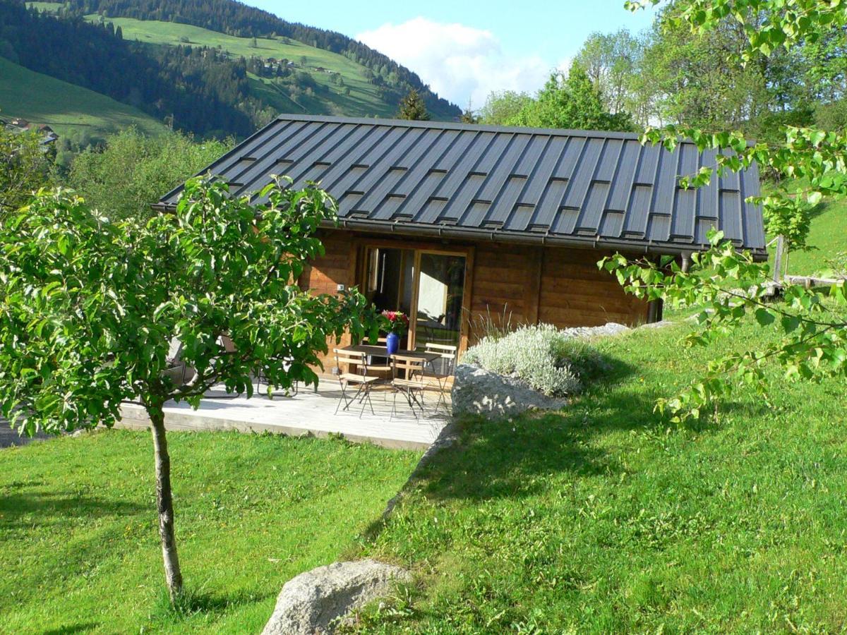 Petit Chalet Individuel De Caractere 梅杰夫 外观 照片